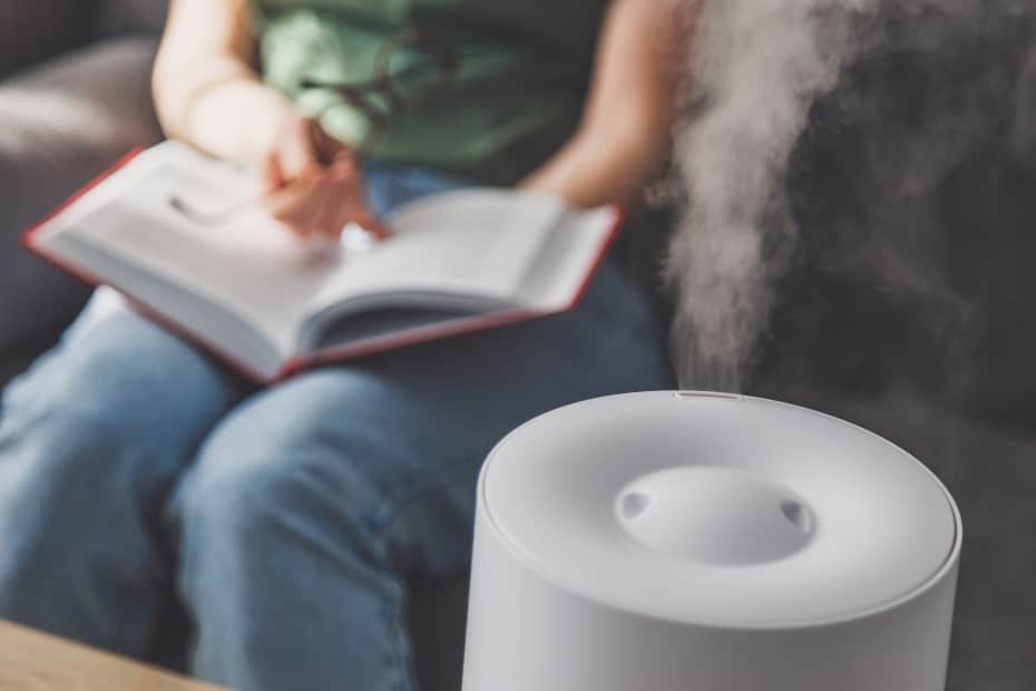 Where To Put A Humidifier? Here's 12 Do's And Don'ts